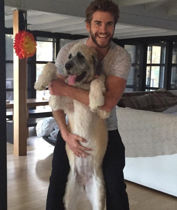 Liam Hemsworth a jeho nový psík